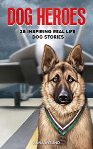 Dog-Heroes