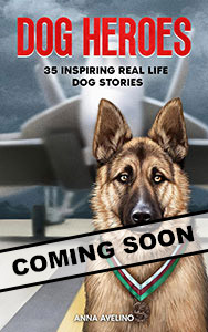 Dog-Heroes-Soon